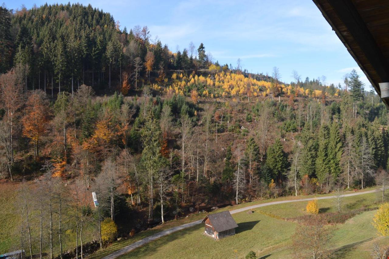 Landhaus Eickler Baiersbronn Exterior photo